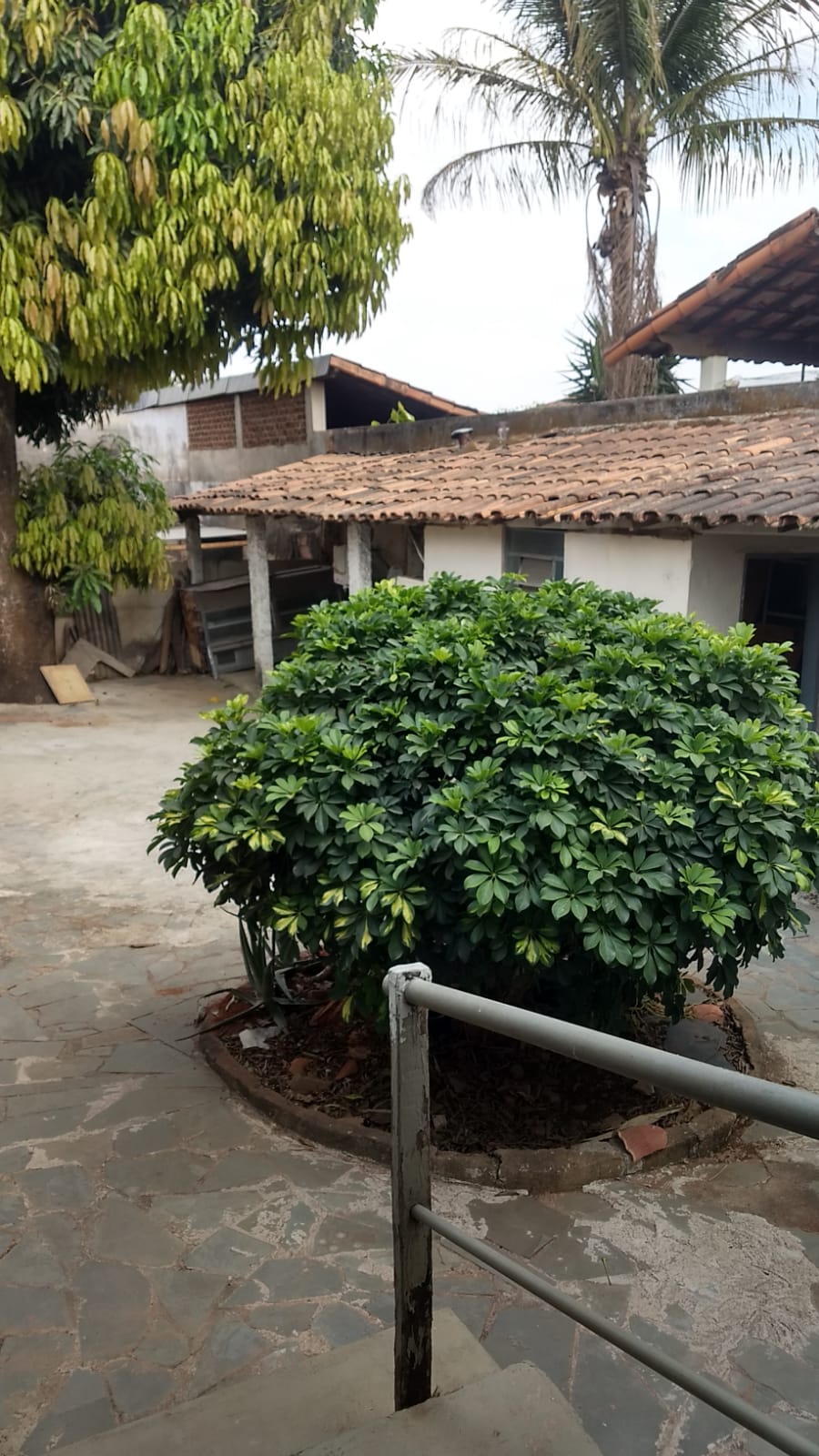 VENDO CASA-JARDIM CAMBUI